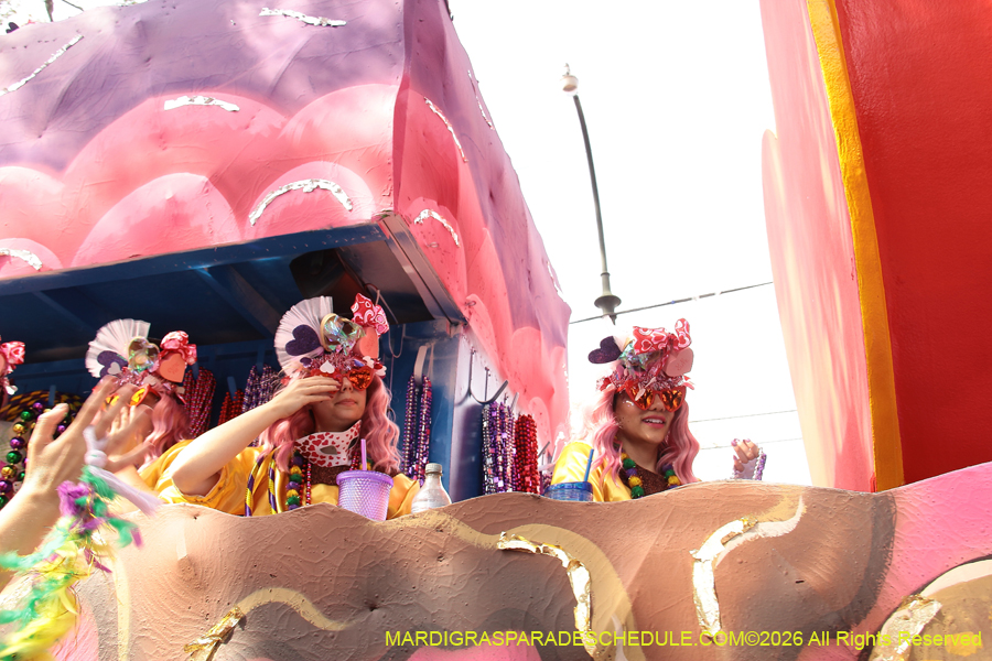 Krewe-of-Iris-2026-7288