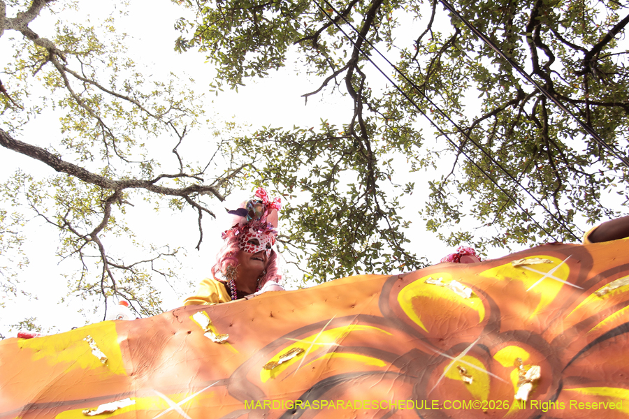 Krewe-of-Iris-2026-7291