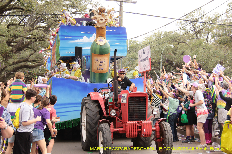 Krewe-of-Iris-2026-7317