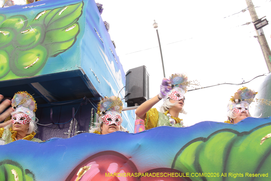 Krewe-of-Iris-2026-7319