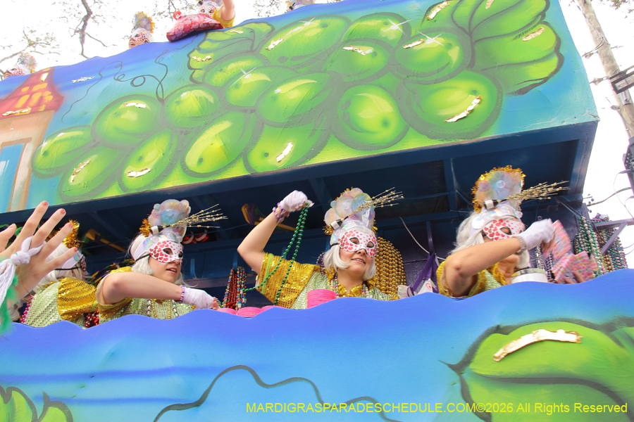 Krewe-of-Iris-2026-7320