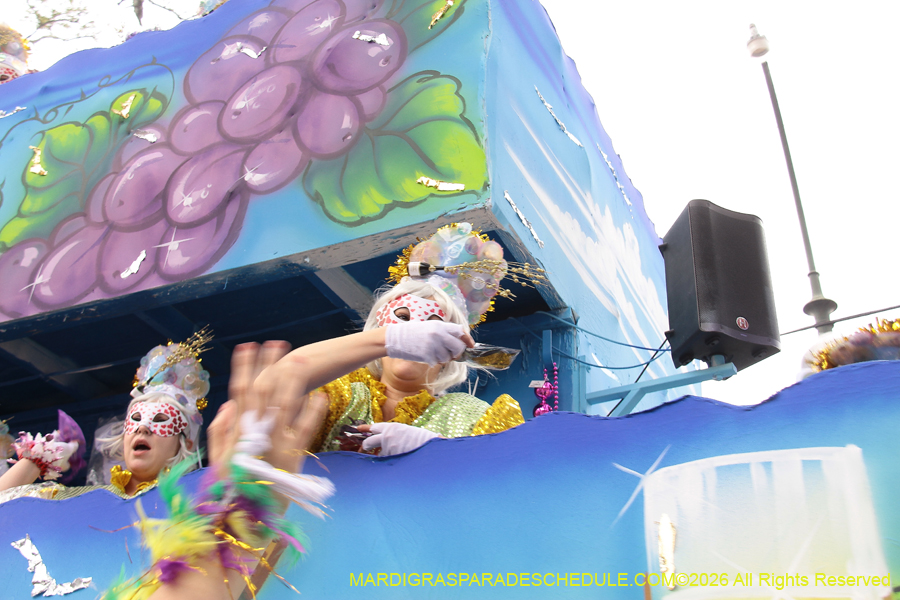 Krewe-of-Iris-2026-7326