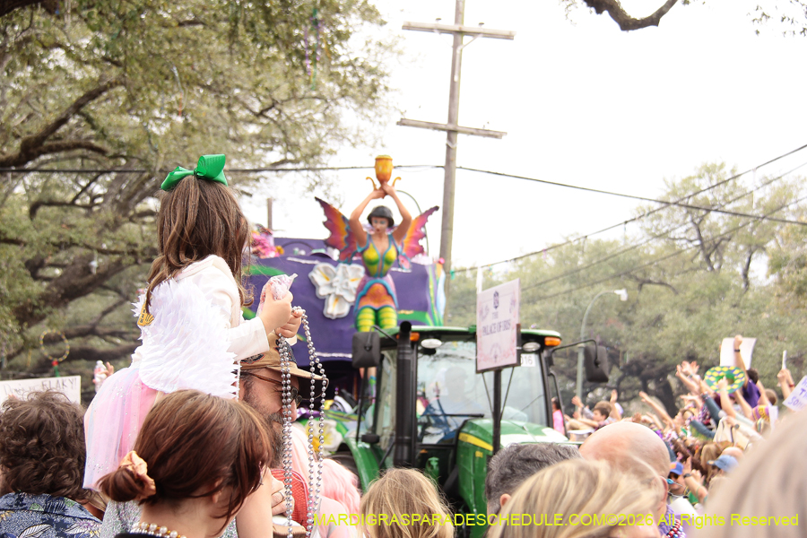 Krewe-of-Iris-2026-7349