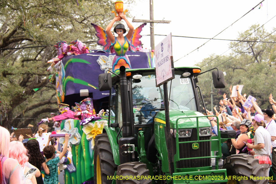 Krewe-of-Iris-2026-7350