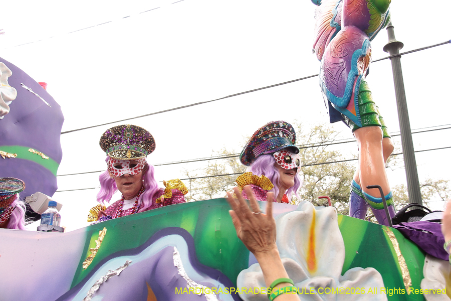 Krewe-of-Iris-2026-7351