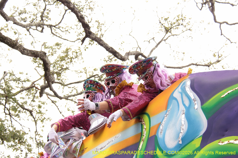 Krewe-of-Iris-2026-7352