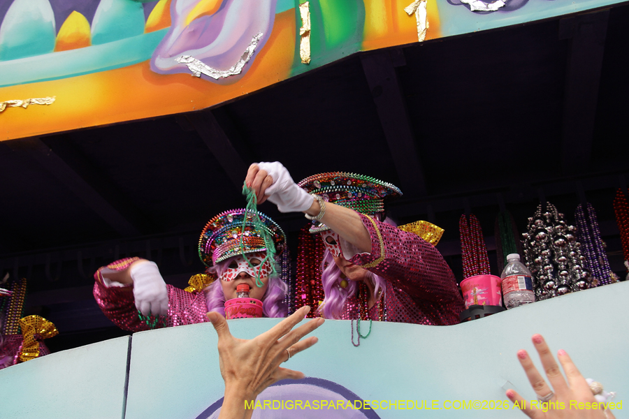 Krewe-of-Iris-2026-7355