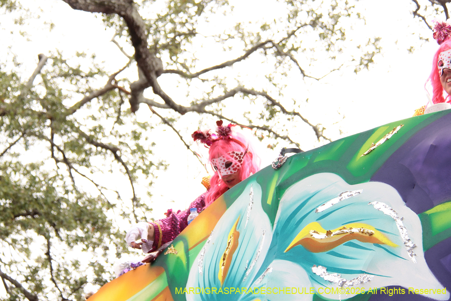 Krewe-of-Iris-2026-7357