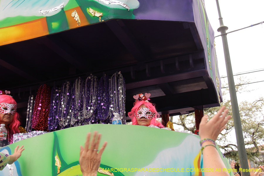 Krewe-of-Iris-2026-7358
