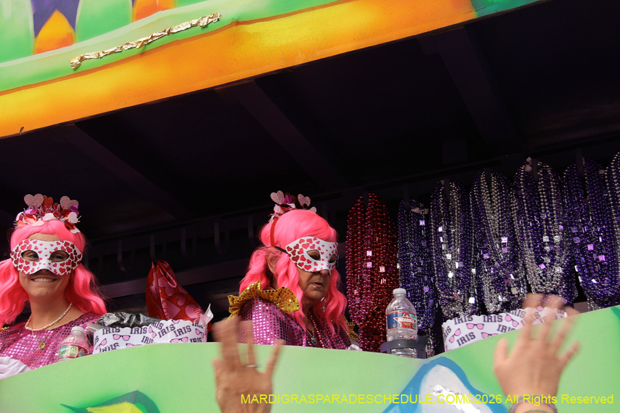 Krewe-of-Iris-2026-7359