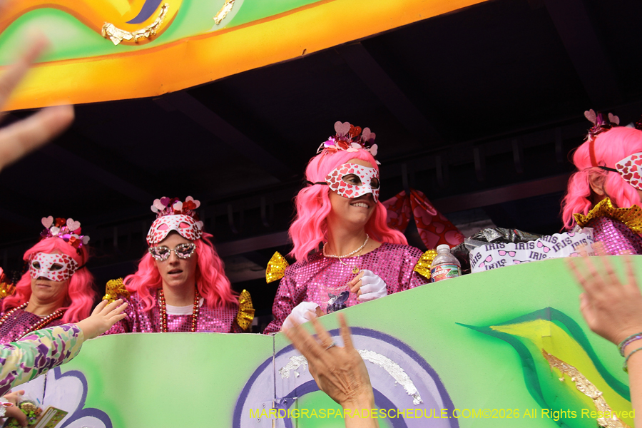 Krewe-of-Iris-2026-7360
