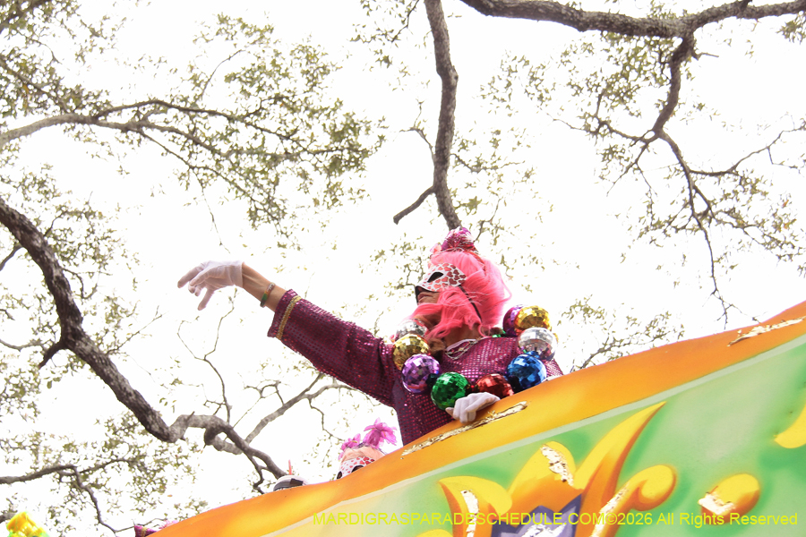 Krewe-of-Iris-2026-7361