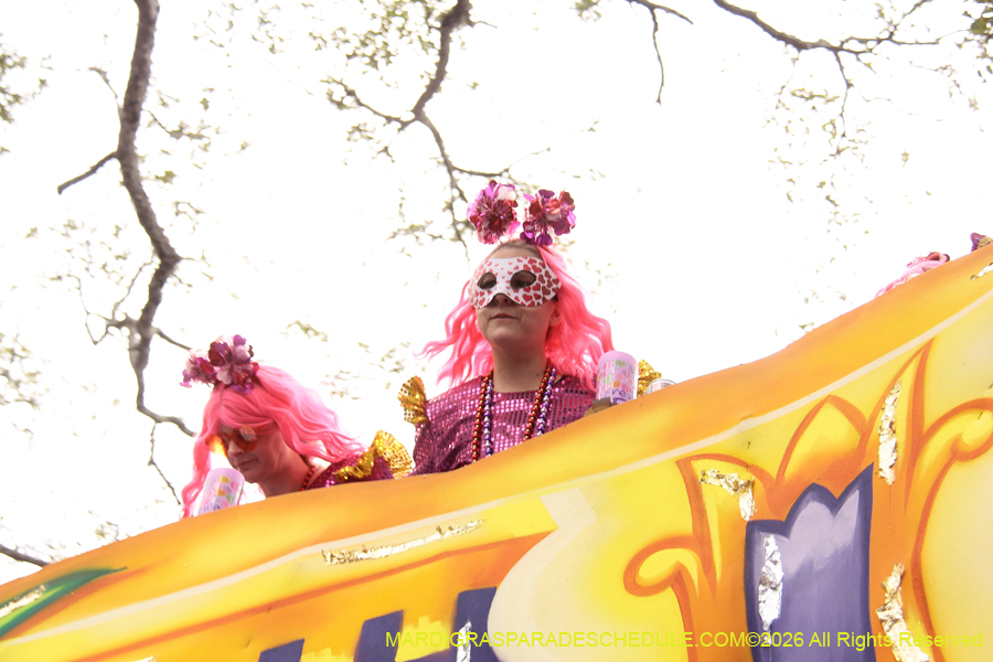 Krewe-of-Iris-2026-7363