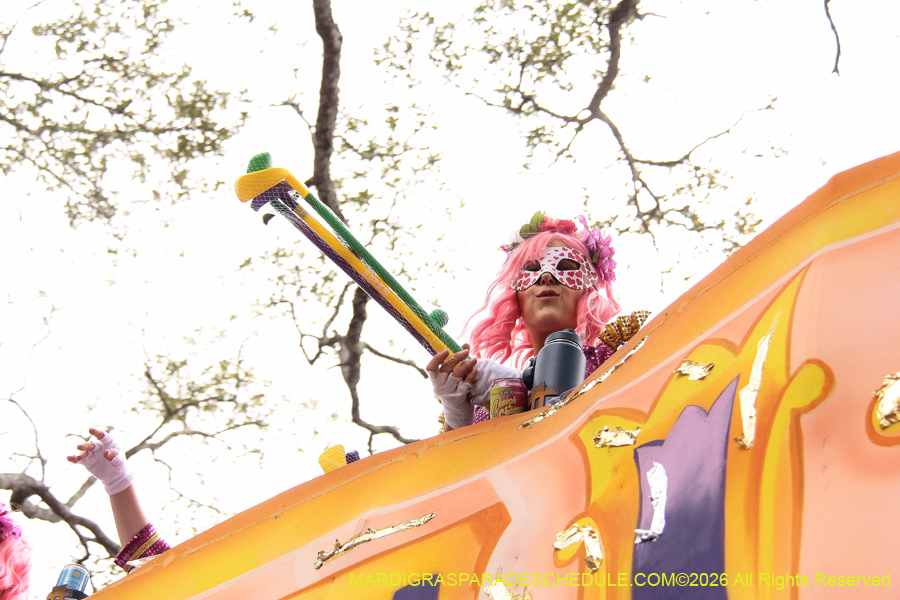 Krewe-of-Iris-2026-7367