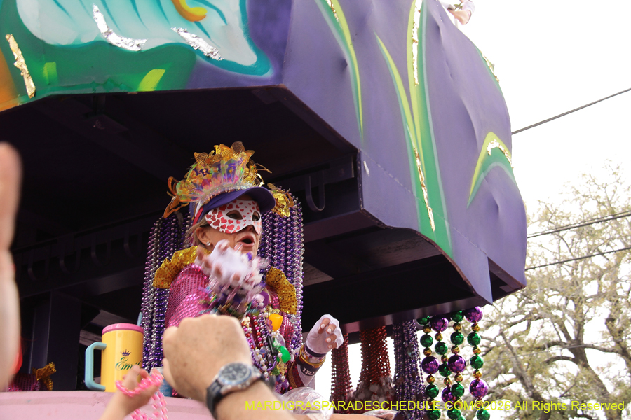 Krewe-of-Iris-2026-7370