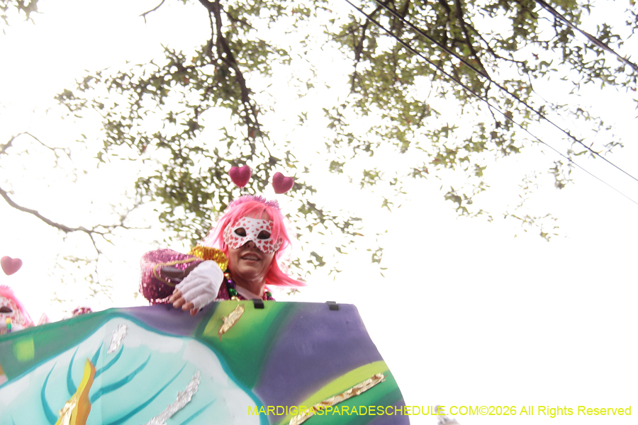 Krewe-of-Iris-2026-7371