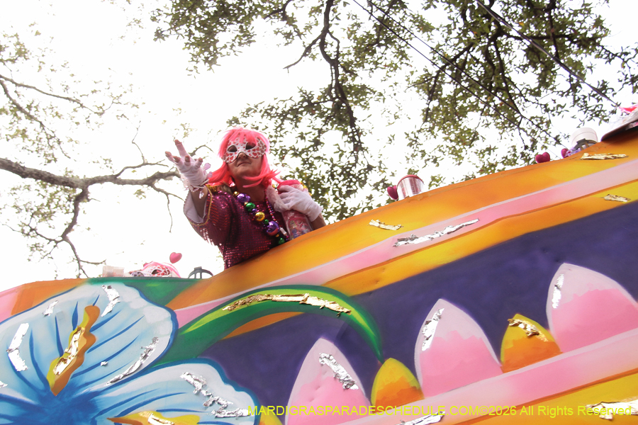 Krewe-of-Iris-2026-7373