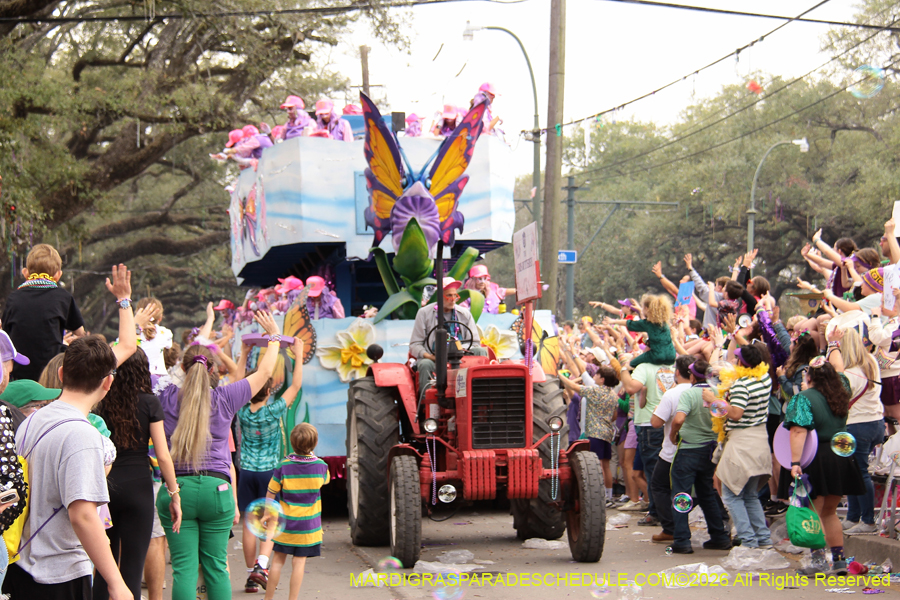 Krewe-of-Iris-2026-7379