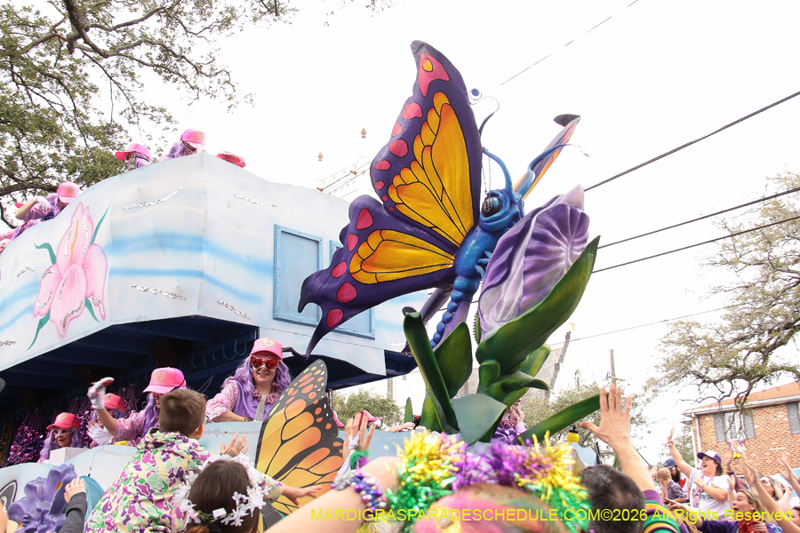 Krewe-of-Iris-2026-7380
