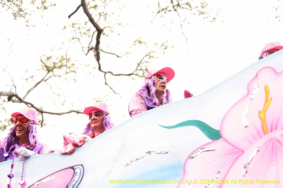 Krewe-of-Iris-2026-7381