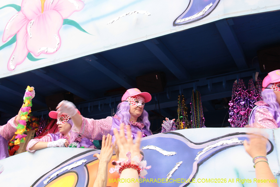 Krewe-of-Iris-2026-7384