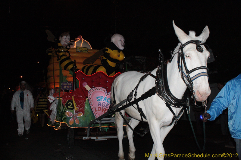 Krewe-du-Vieux-2012-0031