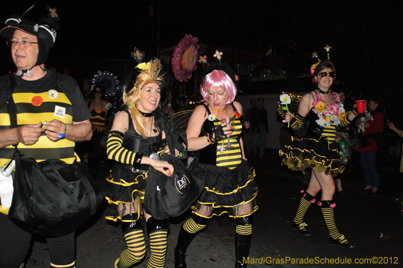Krewe-du-Vieux-2012-0036