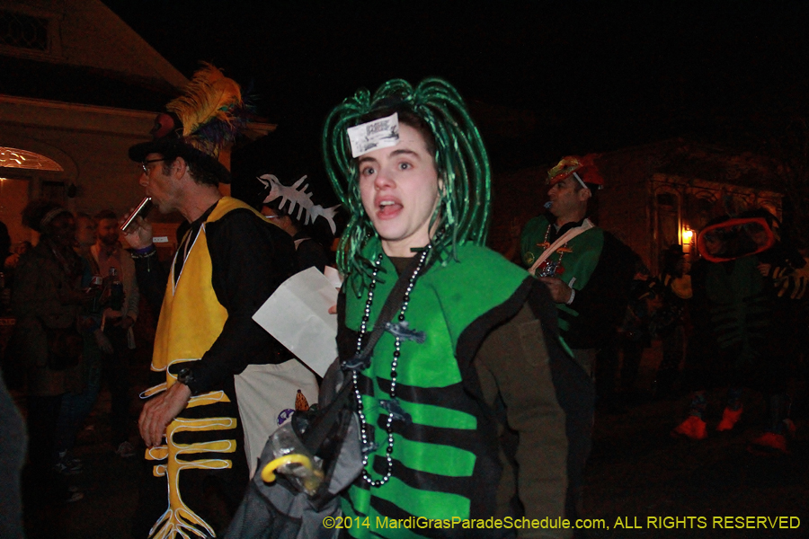 2014-Krewe-du-Vieux11074