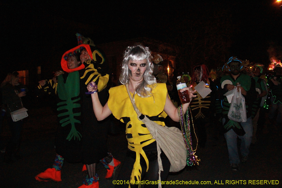 2014-Krewe-du-Vieux11075