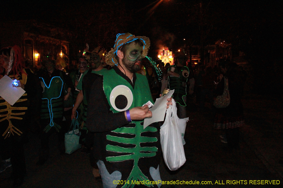 2014-Krewe-du-Vieux11076