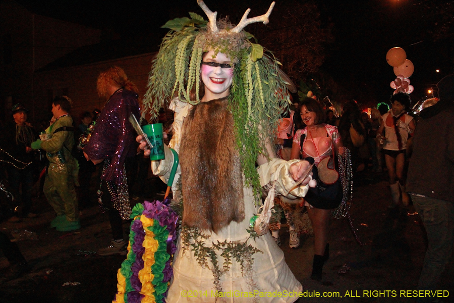 2014-Krewe-du-Vieux11212
