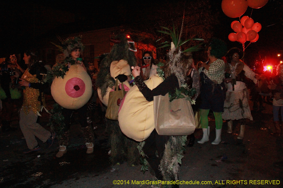 2014-Krewe-du-Vieux11215