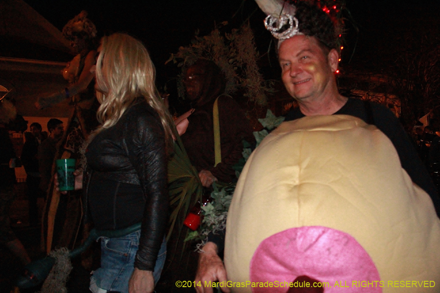 2014-Krewe-du-Vieux11218