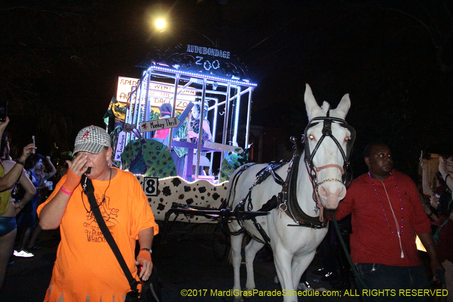 Krewe-du-Vieux-2017-01221