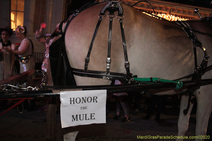 Krewe-du-Vieux-2020-01271