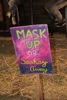 Krewe-du-Vieux-2021-00772