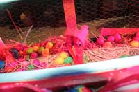 Krewe-du-Vieux-2021-00776