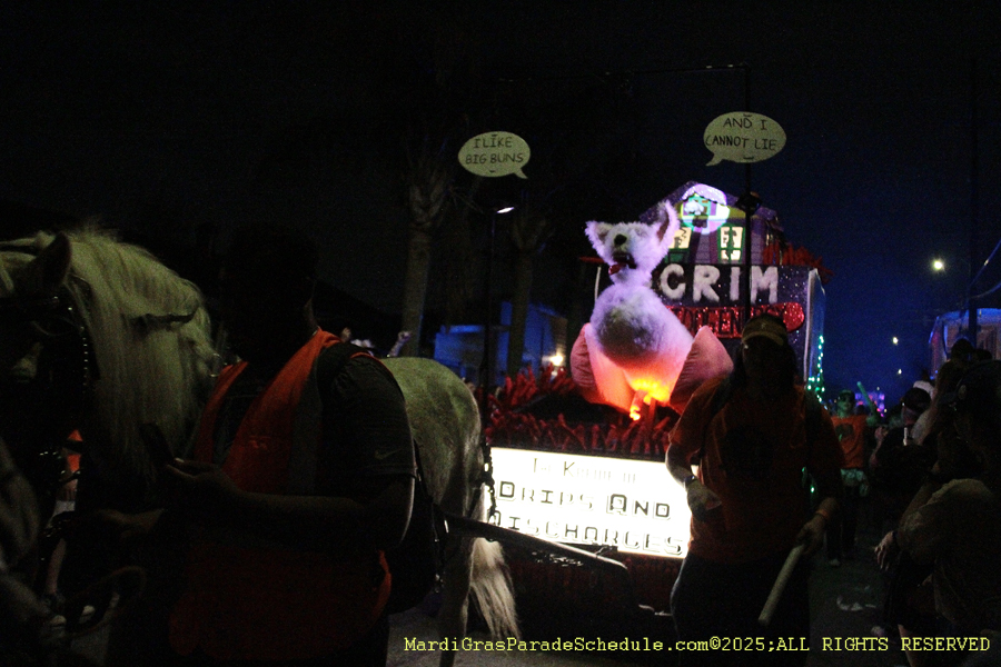 Krewe-du-Vieux-2025-001446