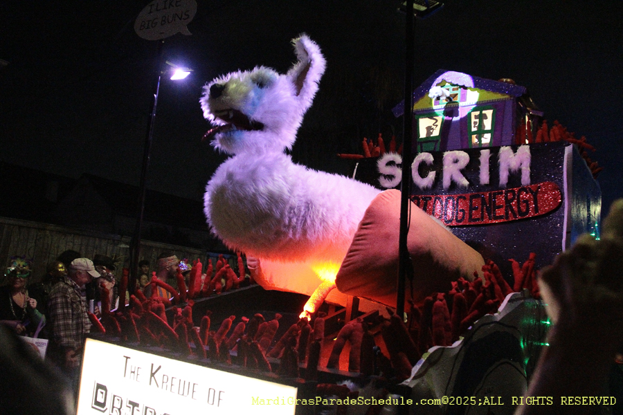 Krewe-du-Vieux-2025-001448