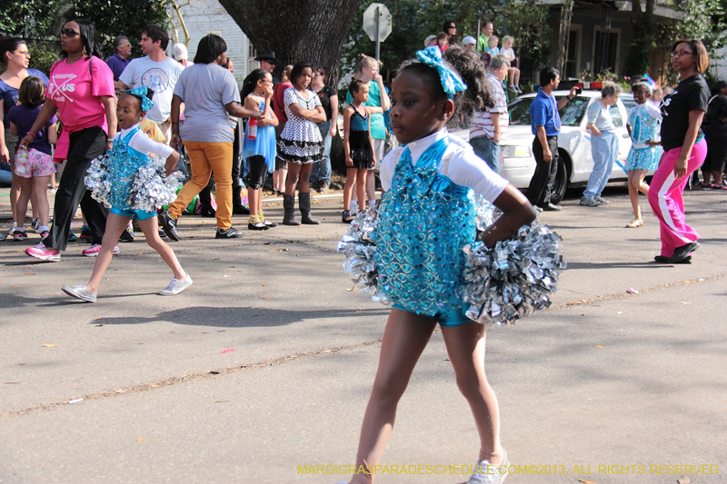 Krewe-of-King-Arthur-2013-1071