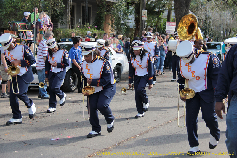 Krewe-of-King-Arthur-2013-1091