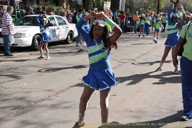 Krewe-of-King-Arthur-2013-1104