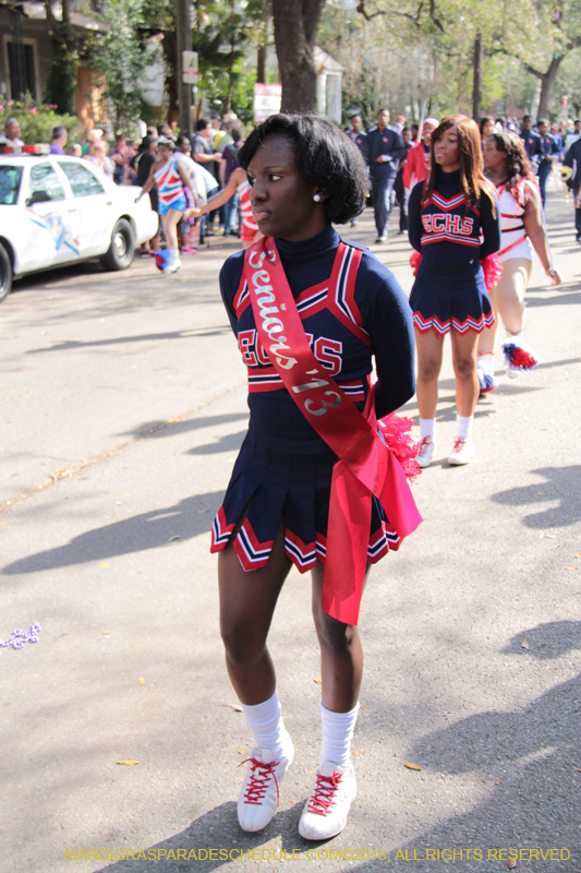 Krewe-of-King-Arthur-2013-1132