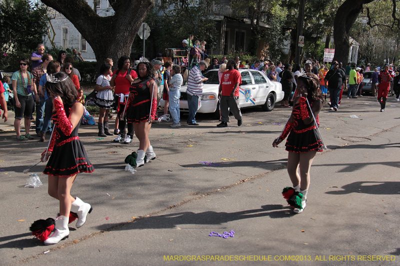 Krewe-of-King-Arthur-2013-1160