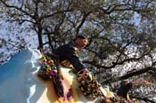 Krewe-of-King-Arthur-2013-1152