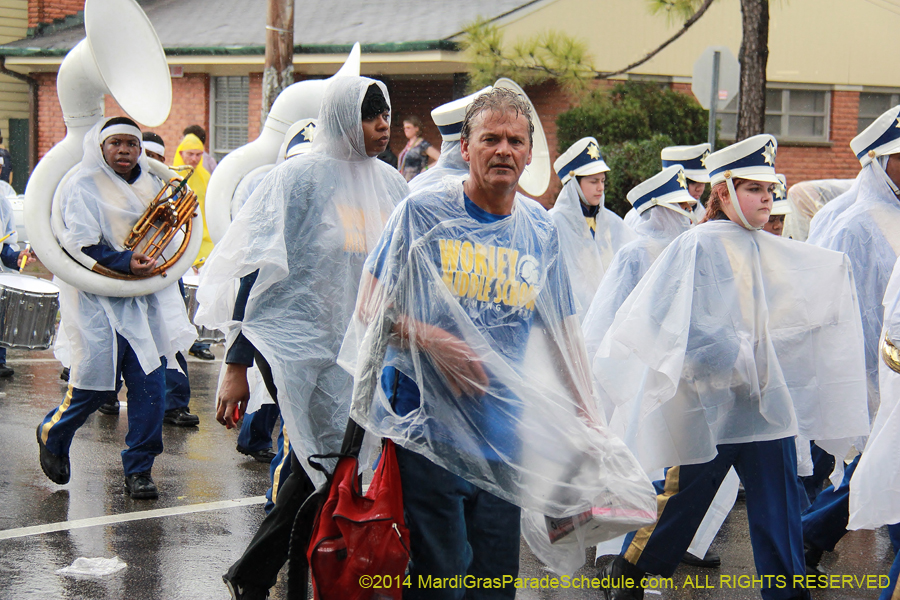 2014-Krewe-of-King-Arthur-11015
