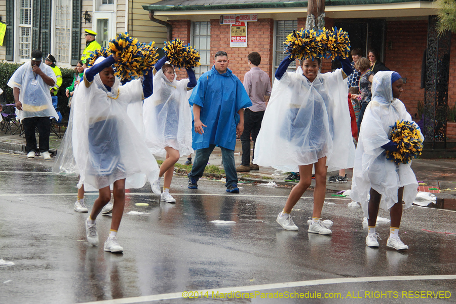 2014-Krewe-of-King-Arthur-11018