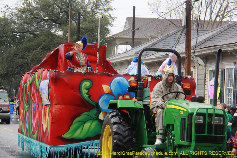 2014-Krewe-of-King-Arthur-11029