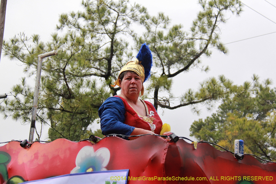 2014-Krewe-of-King-Arthur-11030