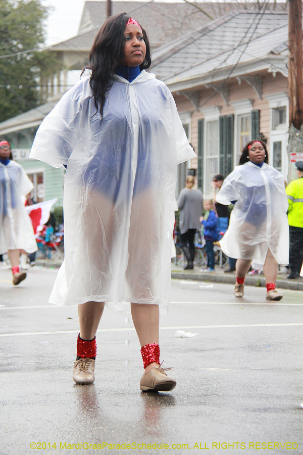 2014-Krewe-of-King-Arthur-11048